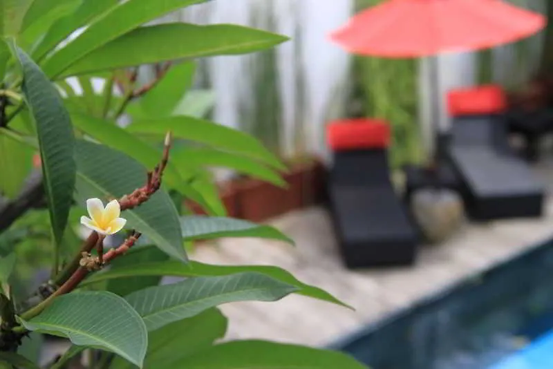 Maison d'hôtes Kamar Kamar Boutique Hotel Seminyak